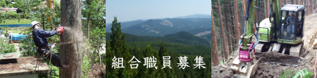 組合職員の募集