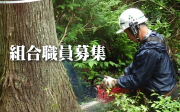 組合職員の募集